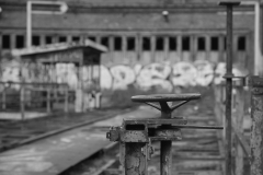 DSC_1749